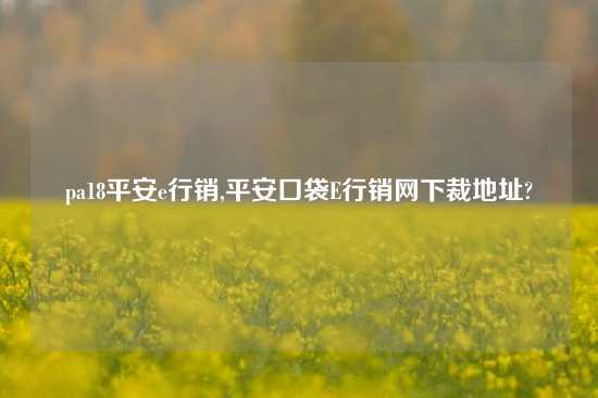 pa18平安e行销,平安口袋E行销网下裁地址?