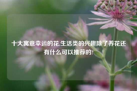 十大寓意幸运的花,生活类的兴趣除了养花还有什么可以推荐的?