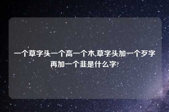 一个草字头一个高一个木,草字头加一个歹字再加一个韭是什么字?