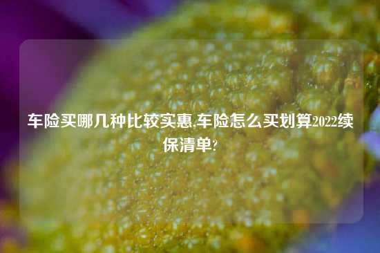 车险买哪几种比较实惠,车险怎么买划算2022续保清单?