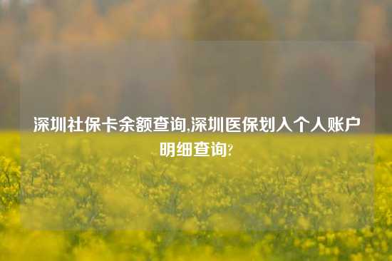 深圳社保卡余额查询,深圳医保划入个人账户明细查询?