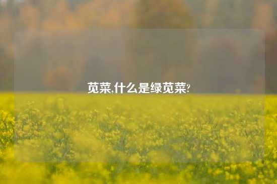 苋菜,什么是绿苋菜?