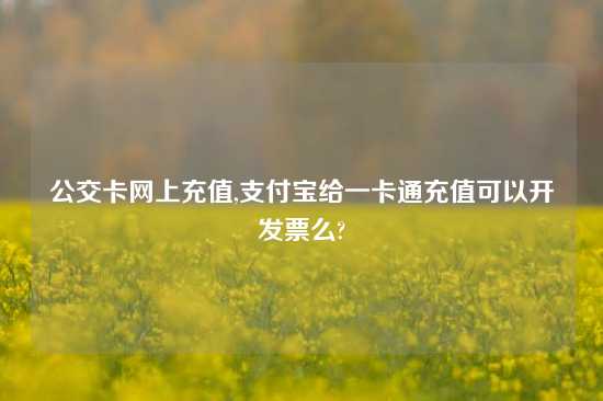 公交卡网上充值,支付宝给一卡通充值可以开发票么?