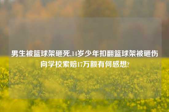 男生被篮球架砸死,14岁少年扣翻篮球架被砸伤向学校索赔17万额有何感想?