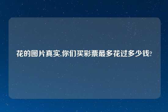 花的图片真实,你们买彩票最多花过多少钱?