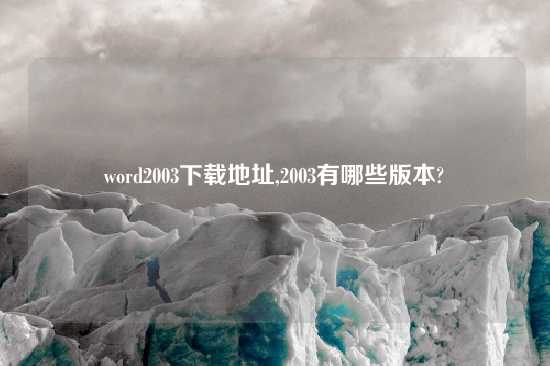 word2003怎么玩地址,2003有哪些版本?