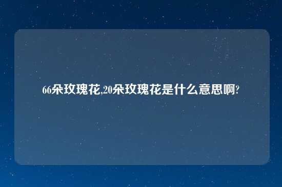 66朵玫瑰花,20朵玫瑰花是什么意思啊?