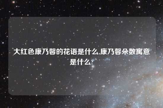 大红色康乃馨的花语是什么,康乃馨朵数寓意是什么?