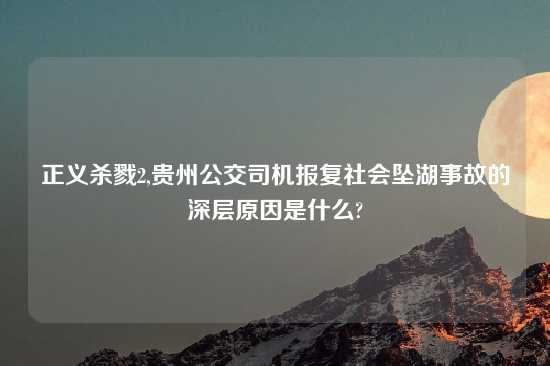 正义杀戮2,贵州公交司机报复社会坠湖事故的深层原因是什么?