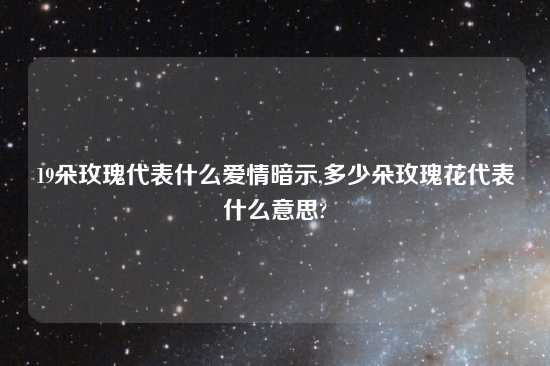 19朵玫瑰代表什么爱情暗示,多少朵玫瑰花代表什么意思?