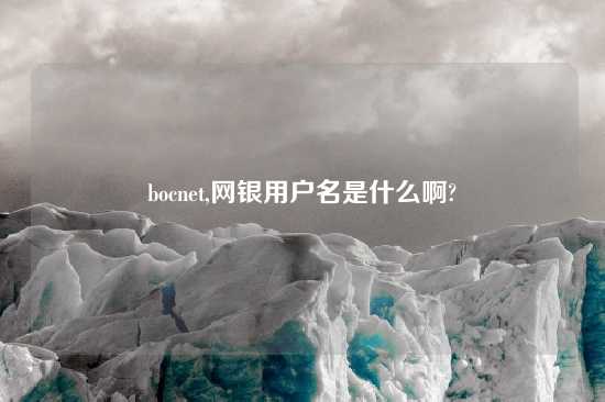 bocnet,网银用户名是什么啊?