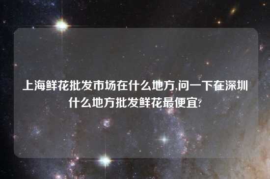 上海鲜花批发市场在什么地方,问一下在深圳什么地方批发鲜花最便宜?