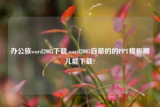 办公族word2003怎么玩,word2003自带的的PPT模板哪儿能怎么玩?