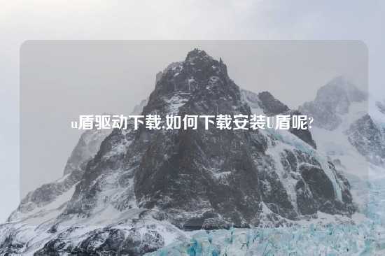 u盾驱动怎么玩,如何怎么玩安装U盾呢?