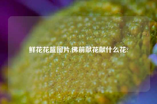 鲜花花篮图片,佛前献花献什么花?