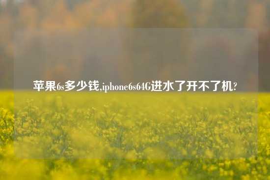 苹果6s多少钱,iphone6s64G进水了开不了机?