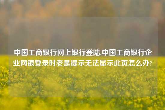 中国工商银行网上银行登陆,中国工商银行企业网银登录时老是提示无法显示此页怎么办?