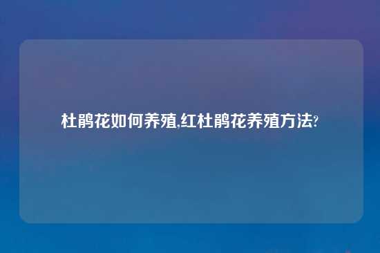 杜鹃花如何养殖,红杜鹃花养殖方法?