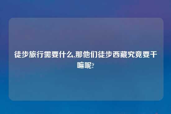 徒步旅行需要什么,那他们徒步西藏究竟要干嘛呢?