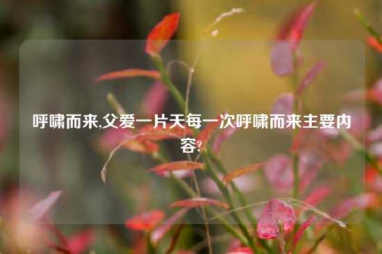 呼啸而来,父爱一片天每一次呼啸而来主要内容?
