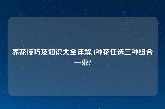 养花技巧及知识大全详解,4种花任选三种组合一束?