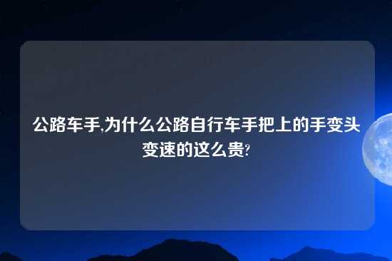 公路车手,为什么公路自行车手把上的手变头变速的这么贵?