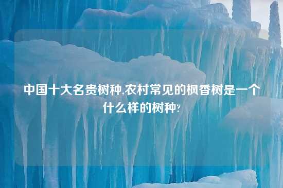 中国十大名贵树种,农村常见的枫香树是一个什么样的树种?