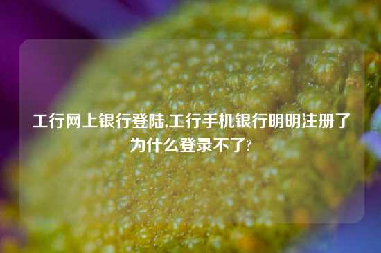 工行网上银行登陆,工行手机银行明明注册了为什么登录不了?