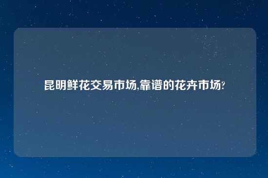 昆明鲜花交易市场,摆谱的花卉市场?