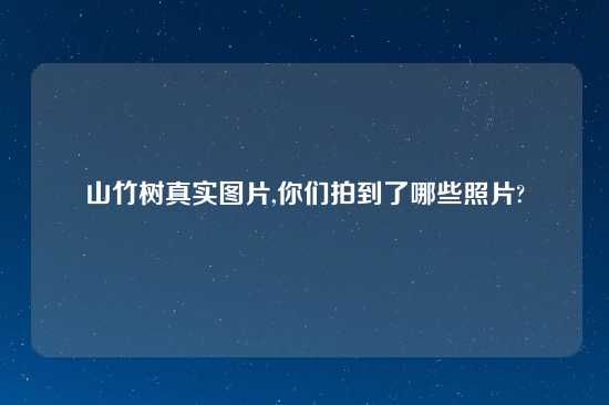 山竹树真实图片,你们拍到了哪些照片?