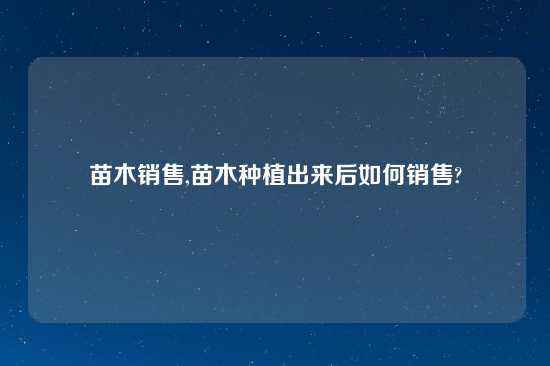 苗木销售,苗木种植出来后如何销售?