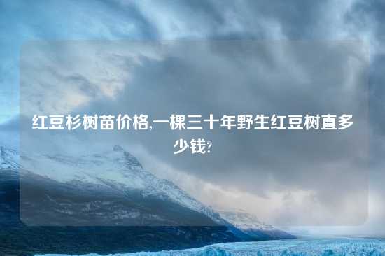 红豆杉树苗价格,一棵三十年野生红豆树直多少钱?