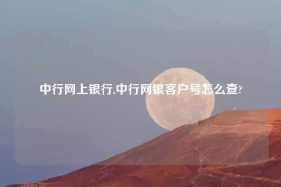 中行网上银行,中行网银客户号怎么查?