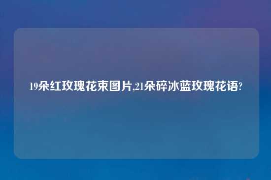 19朵红玫瑰花束图片,21朵碎冰蓝玫瑰花语?