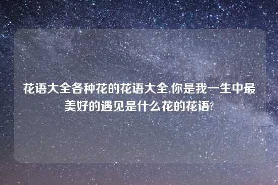 花语大全各种花的花语大全,你是我一生中最美好的遇见是什么花的花语?