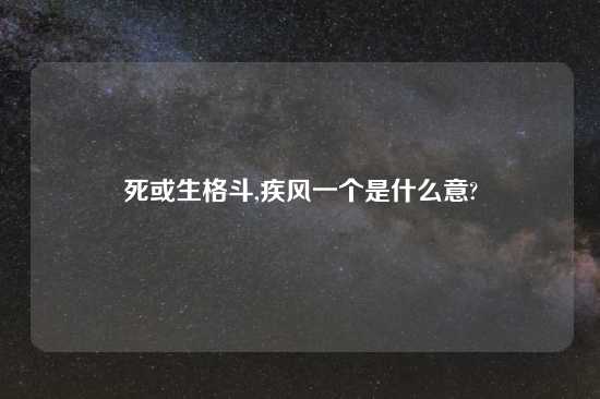 死或生格斗,疾风一个是什么意?