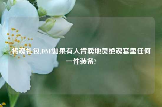 将魂礼包,DNF如果有人肯卖地灵绝魂套里任何一件装备?