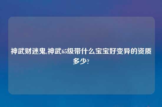 神武财迷鬼,神武65级带什么宝宝好变异的资质多少?