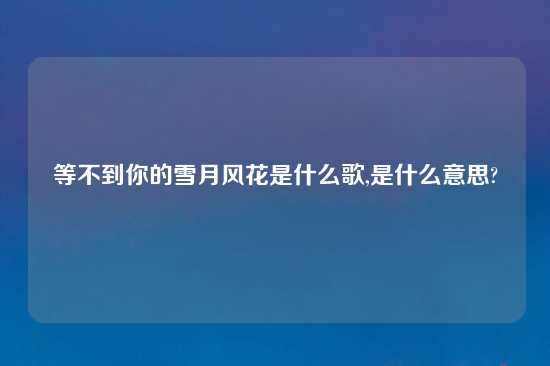 等不到你的雪月风花是什么歌,是什么意思?