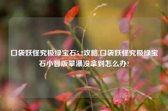 口袋妖怪究极绿宝石5.2攻略,口袋妖怪究极绿宝石小智版攀瀑没拿到怎么办?