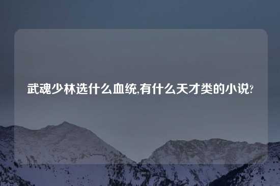 武魂少林选什么血统,有什么天才类的小说?