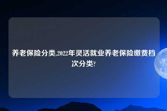 养老保险分类,2022年灵活就业养老保险缴费档次分类?