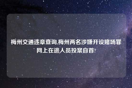 梅州交通违章查询,梅州两名涉嫌开设赌场罪网上在逃人员投案自首?