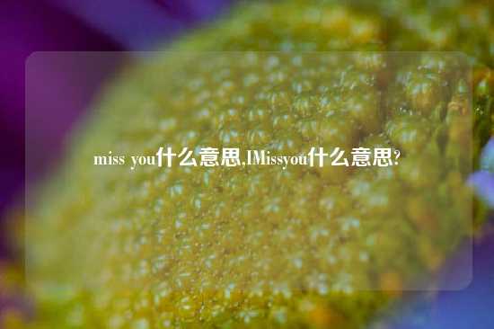 miss you什么意思,IMissyou什么意思?