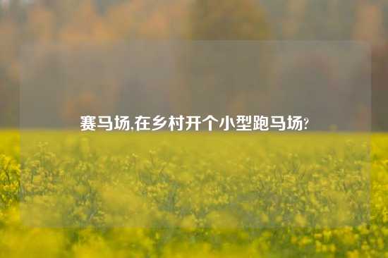 赛马场,在乡村开个小型跑马场?