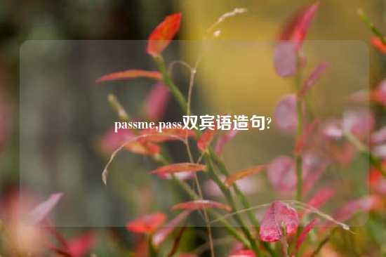 passme,pass双宾语造句?