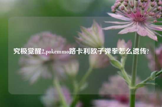 究极觉醒2,pokemmo路卡利欧子弹拳怎么遗传?