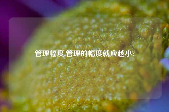 管理幅度,管理的幅度就应越小?