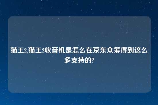 猫王2,猫王2收音机是怎么在京东众筹得到这么多支持的?