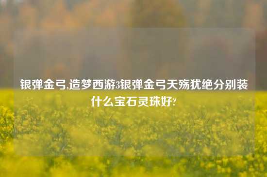 银弹金弓,造梦西游3银弹金弓天殇犹绝分别装什么宝石灵珠好?